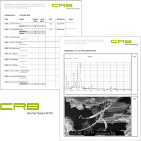CRB Analyse Service